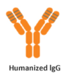 Antibody humanization figure
