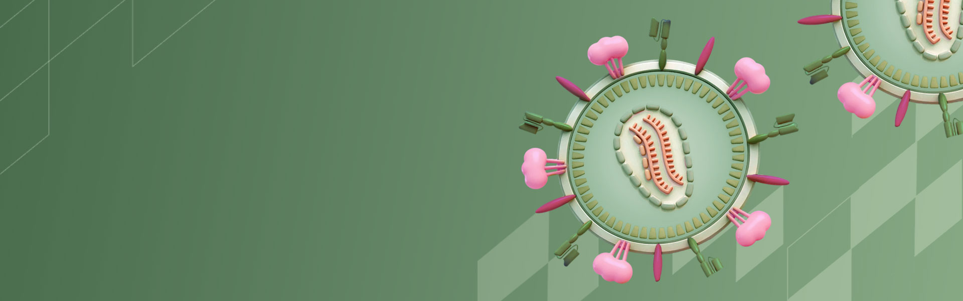 慢病毒DP临床申报整体方案