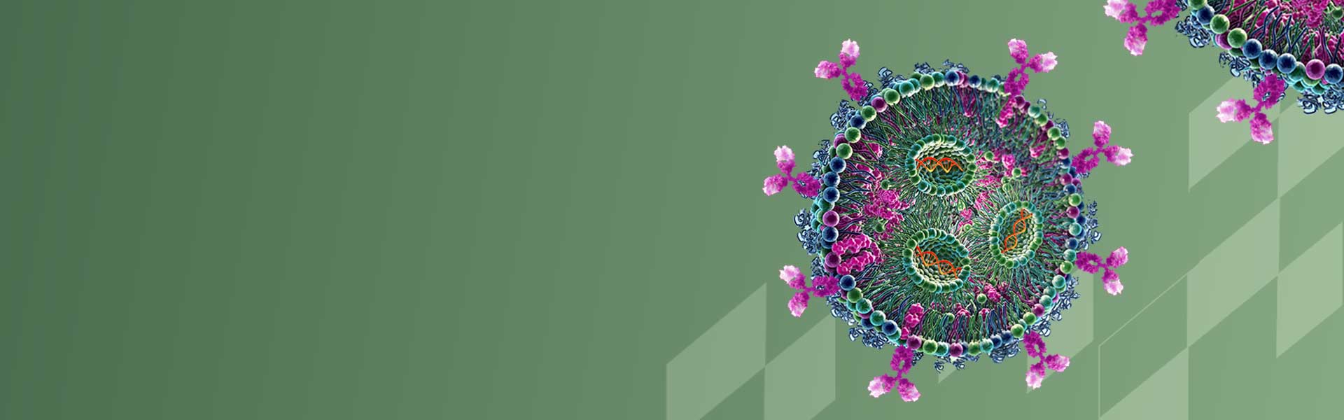 RNA-tLNP一站式解决方案