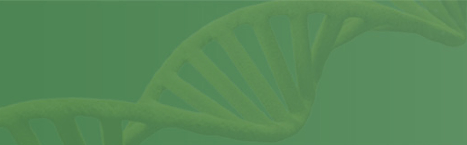 自主研发PowerS™-DNA⁺ 菌株