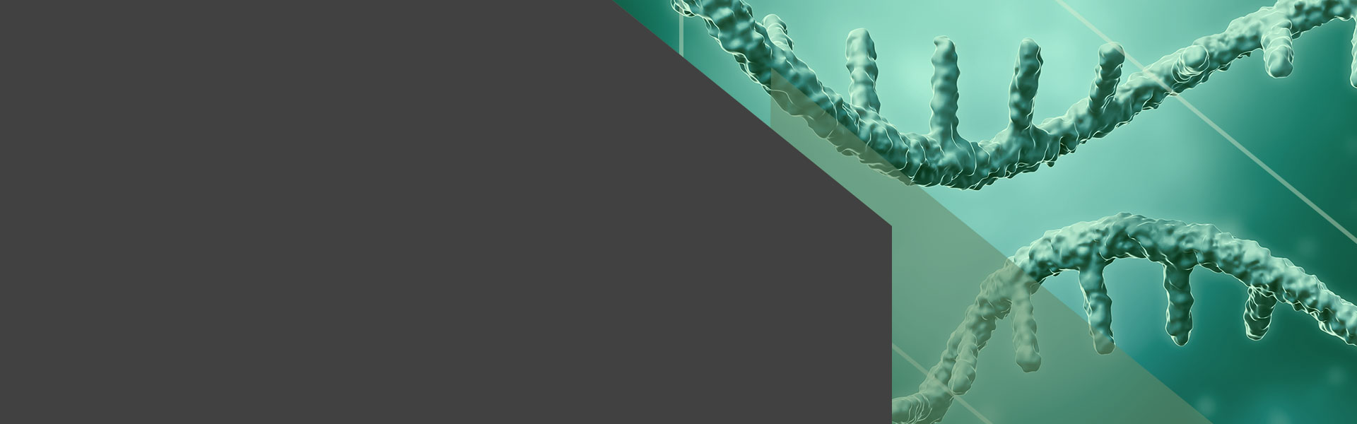 Functional Lead Discovery for Next-Gen Therapeutics