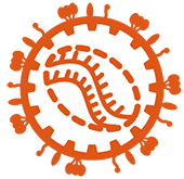 慢病毒DP临床申报整体方案